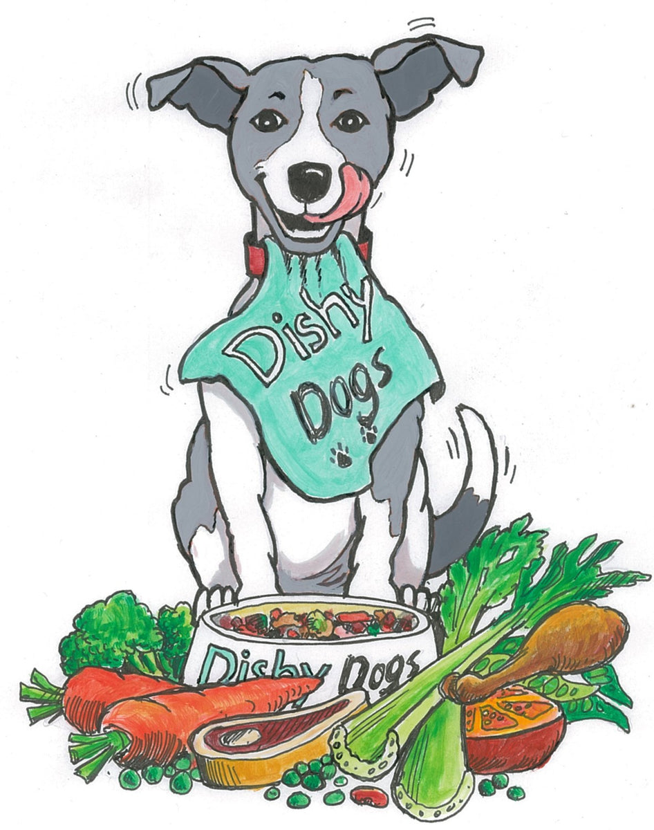 Superfood Meals for Dogs and Cats