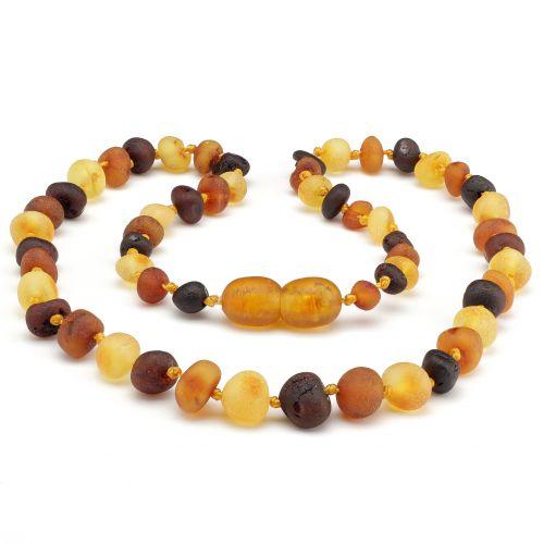 Amber necklace outlet for dogs