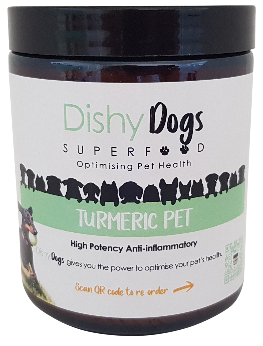 Anti-Inflammatory Foods for Dogs: Boost Your Pet's Health
