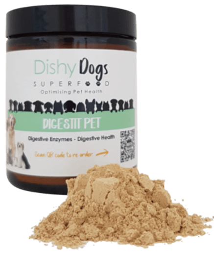 Digestit Pet, digestion problems in dogs, digestion problems in dogs, digestion problems in dogs, what to give a dog with digestive problems,