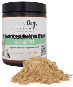 Digestit Pet, digestion problems in dogs, digestion problems in dogs, digestion problems in dogs, what to give a dog with digestive problems,