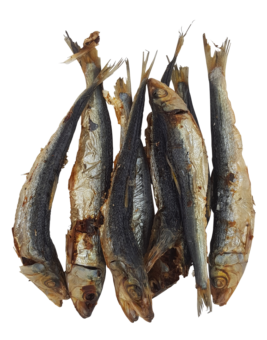 Treats - Sardines